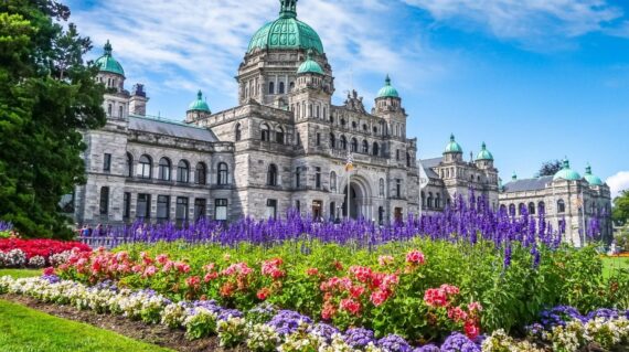Beautiful view of historic parliament building in the citycenter of Victoria with colorful flowers on a sunny day