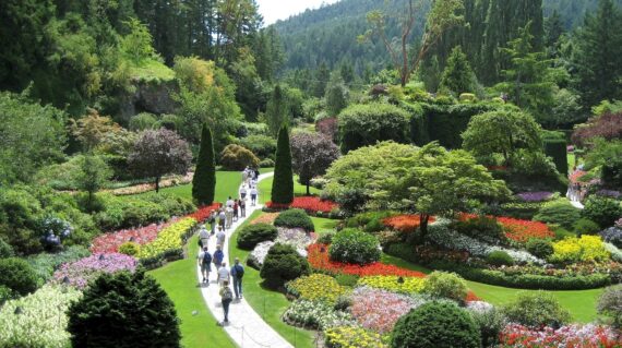 Butchart Gardens is a National Historic Site, and a stunning depiction of flora as art
