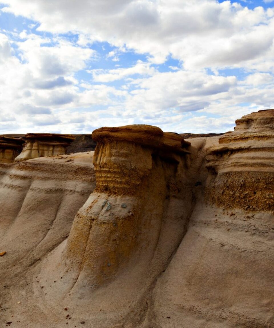 Drumheller Badlands at the Dinosaur Provincial Park in Alberta are rich deposits of fossils and dinosaur bones have been found.