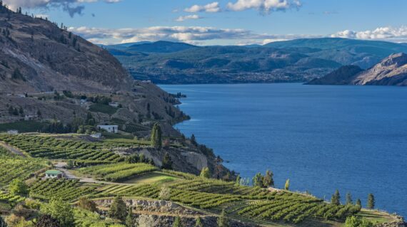 Okanagan Lake near Penticton British Columbia Canada with orchard and vineyard in the foreground