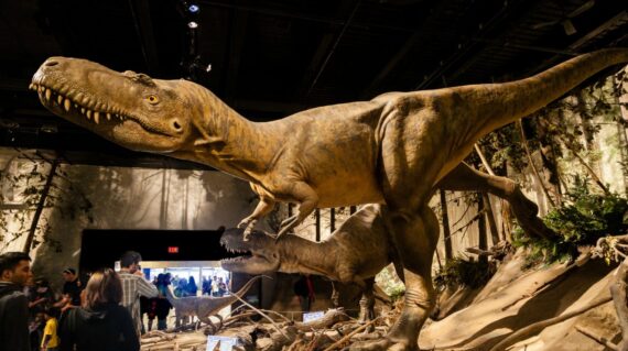 The T-Rex exhibits at the entrance of the Royal Tyrrell Museum, famous for its palaeontology research and 130,000 fossils