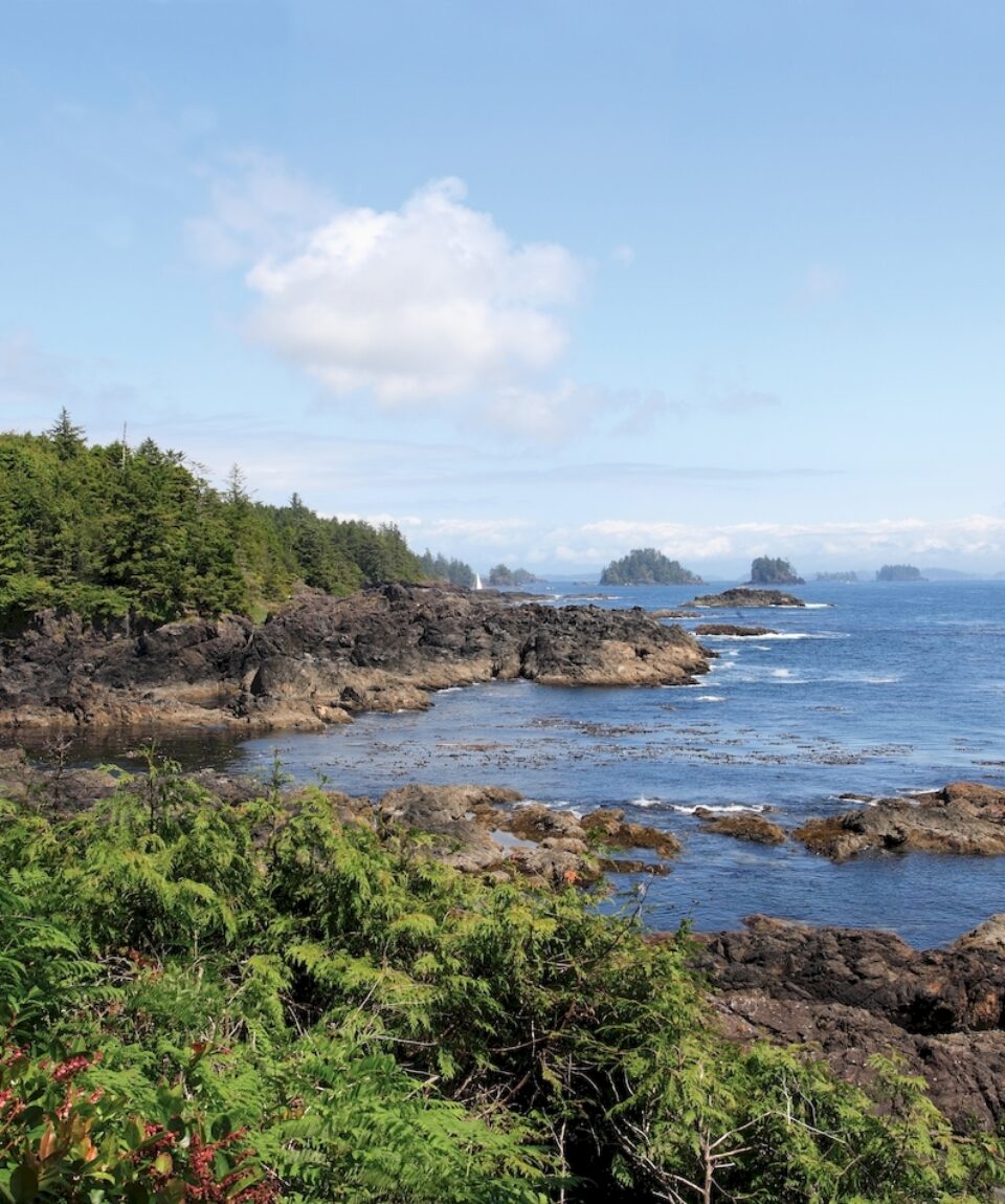 The Wild Pacific Trail located in Ucluelet with the rugged cliffs and shoreline of the westcoast of Vancouver Island