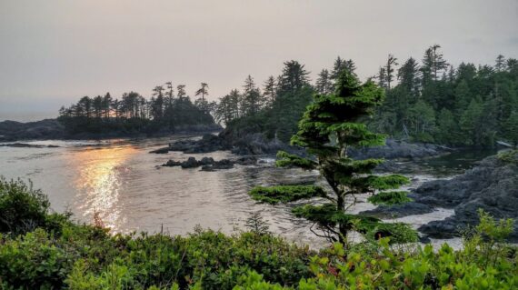 The Wild Pacific Trail located in Ucluelet with the rugged cliffs and shoreline of the westcoast of Vancouver Island